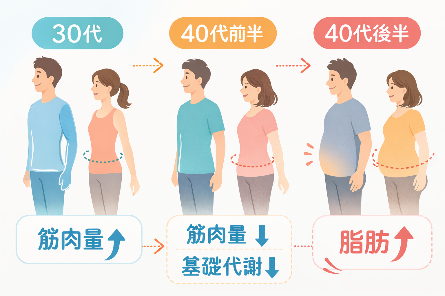 40代から太りやすくなる原因を示すイラスト（基礎代謝低下・筋肉量減少・ホルモンバランスの変化など）